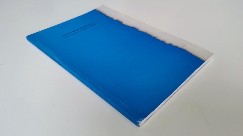 Boek met de titel: Gewoon omdat we moeders zijn