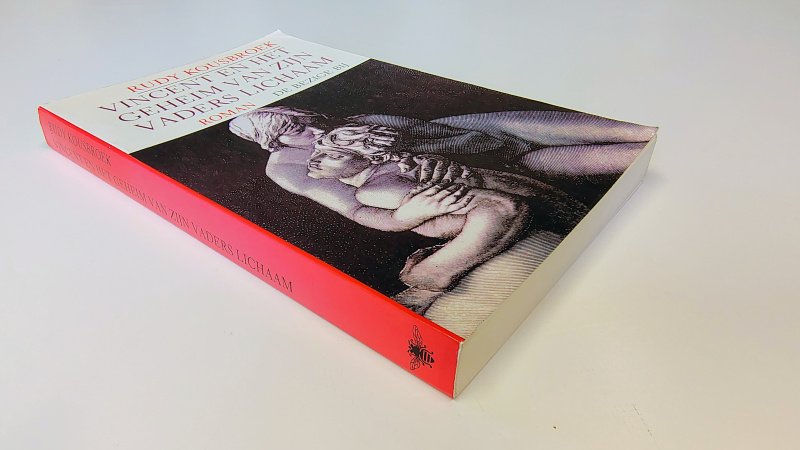 Boek met de titel: Vincent en het geheim van zijn vaders lichaam