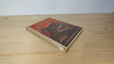 Boek met de titel: De Boschkat van 't Spanderswoud