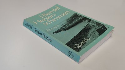 Boek met de titel: Hersenschimmen