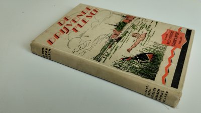 Boek met de titel: De drijvende Flesch