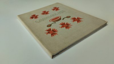 Boek met de titel: Ladoesjki