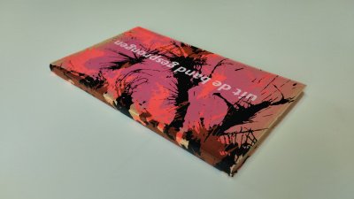 Boek met de titel: Uit de band gesprongen