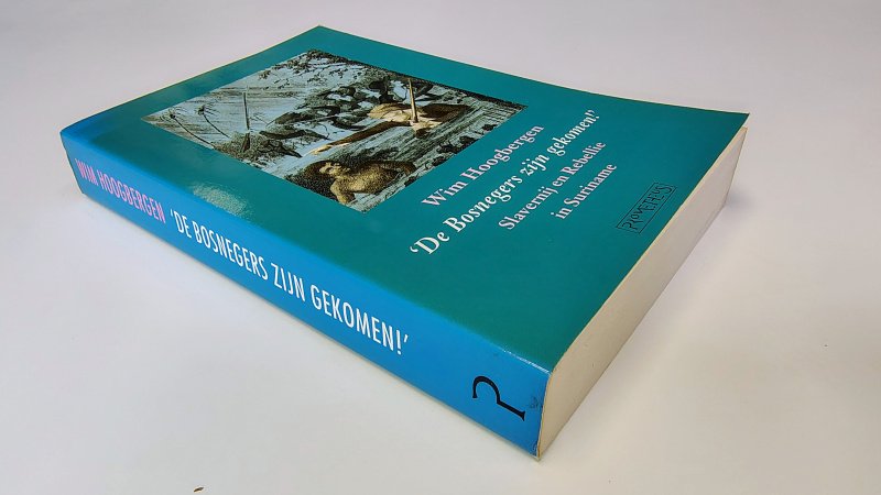 Boek met de titel: De Bosnegers zijn gekomen! Slavernij en Rebellie in Suriname