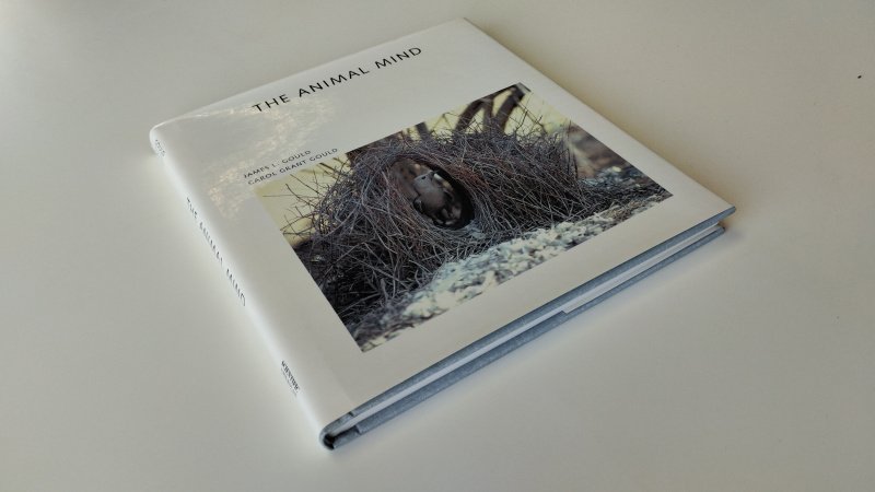 Tweedehands boek: The Animal Mind van auteur James L. Gould - Engelstalige Hardcover met stofomslag. Zo goed als nieuw.