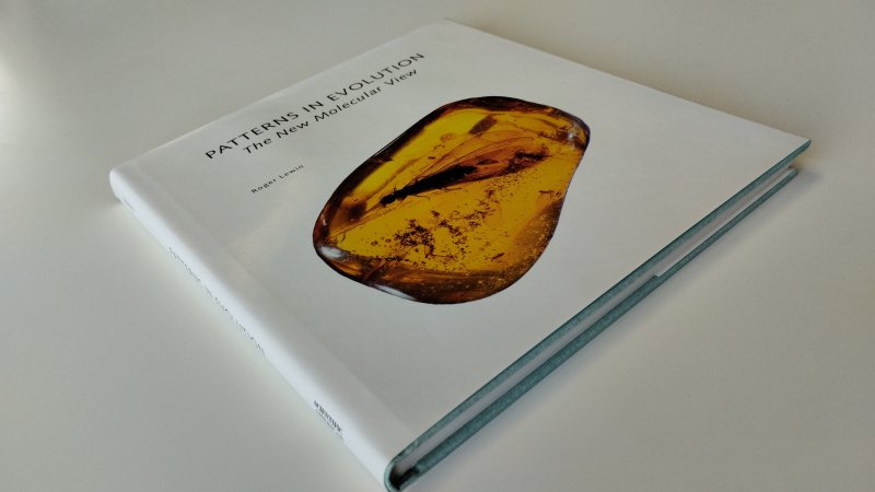 Tweedehands boek: Patterns in Evolution van auteur Roger Lewin - Engelstalige Hardcover met stofomslag, zo goed als nieuw.