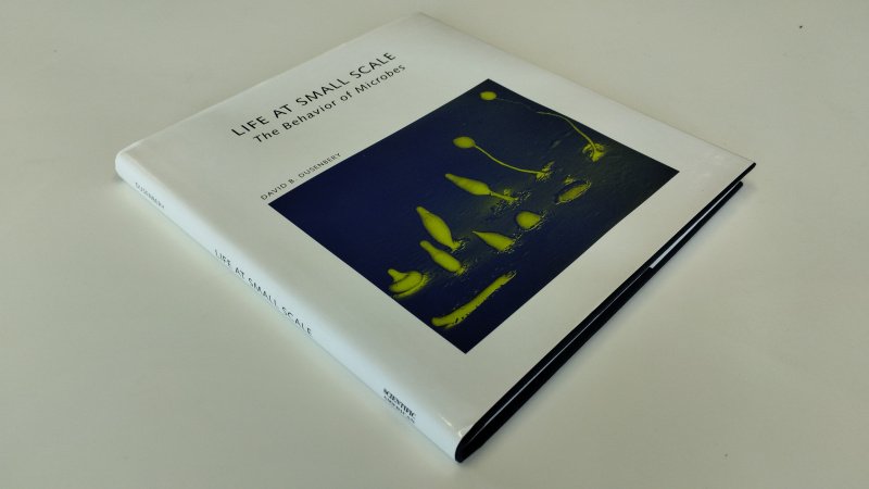 Tweedehands boek: Life at Small Scale van auteur David B. Dusenbery - Engelstalige Hardcover met stofomslag. Zo goed als nieuw.