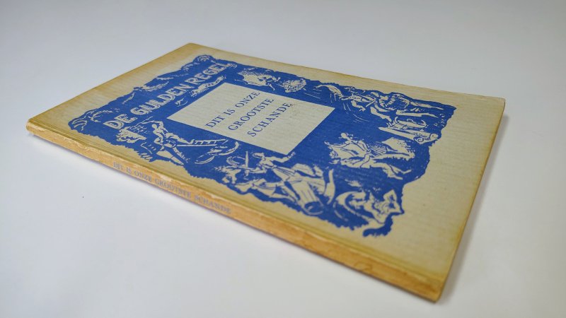 Tweedehands boek: Dit is onze grootste schande van auteur Jop Pollmann - Paperback met verkleurde kaft en rug. Slijtage rug en achterzijde kaft. Zit stevig in de band en binnenwerk is onbeschreven en netjes.