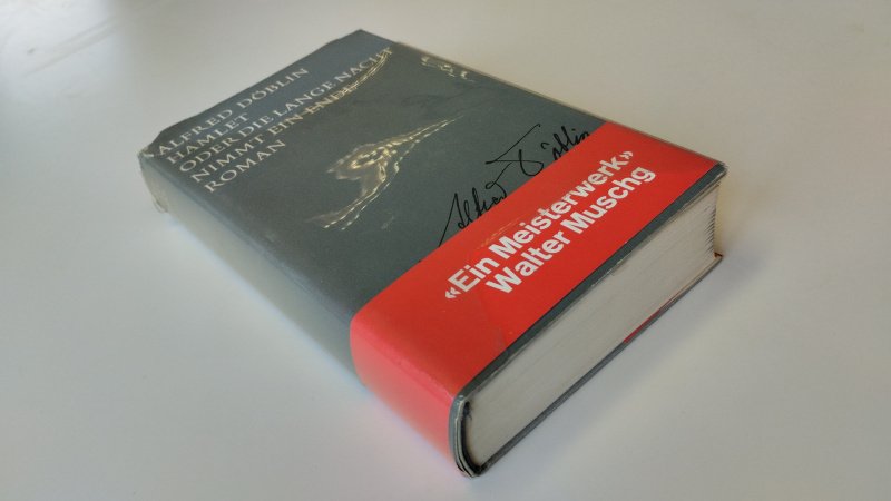 Boek met de titel: Hamlet oder Die lange Nacht nimmt ein Ende