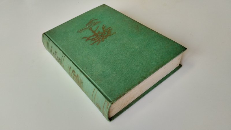 Tweedehands boek: Ten oosten van Eden van auteur John Steinbeck - Gebonden linnen band, redelijke staat, verkleuring en gebruikssporen aanwezig, oudere uitgave, pagina’s compleet en leesbaar