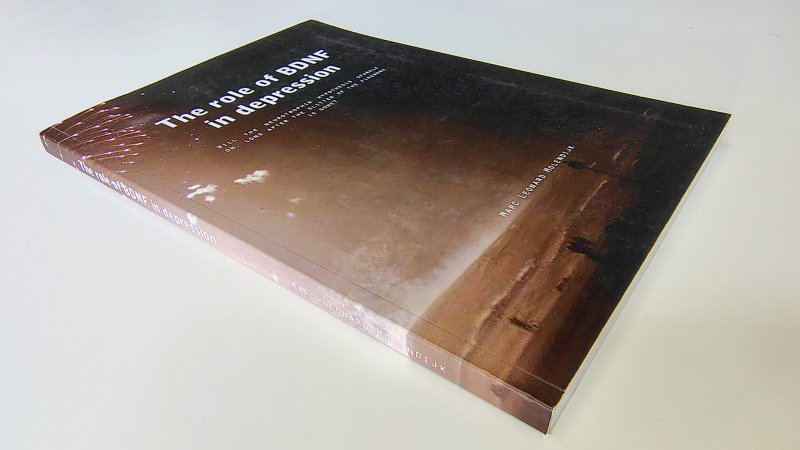 Tweedehands boek: Proefschrift: The role of BDNF in depression van auteur Marc Leonard Molendijk - Engelstalig proefschrift in paperback in zeer goede staat. Binnenwerk onbeschreven en netjes.