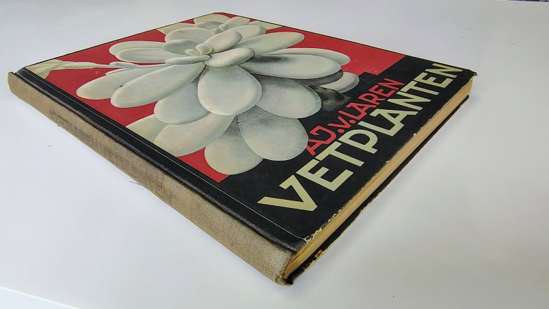 Tweedehands boek: Verkade album Vetplanten van auteur A.J. van Laren - Hardcover met linnen rug. Duidelijke slijtage randen en achterkant kaft. Linnen rug verkleurd. Binnenwerk ex-libris, roestvlekken en verkleuring.