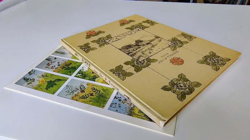 Tweedehands boek: Uniek Verkade Album Zomer – Plak samen met je kleinkinderen! van auteur Jac P Thijsse - Hardcover lichte verkleuring kaft en lichte gebruikerssporen. Binnenwerk als nieuw! Op de twee buitenste bladen op het wit van de uitknipbare plaatjes lichte roestvlekken.