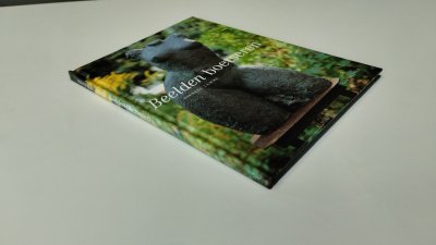 Boek met de titel: Beelden boetseren