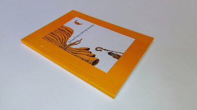 Boek met de titel: Dom Tower Ding-Dongs