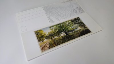 Boek met de titel: Acht Drense Prenten