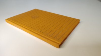 Boek met de titel: De Elfde Deur