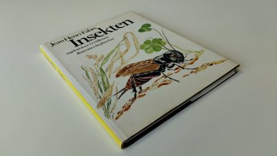 Boek met de titel: Insekten