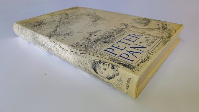 Boek met de titel: Peter Pan