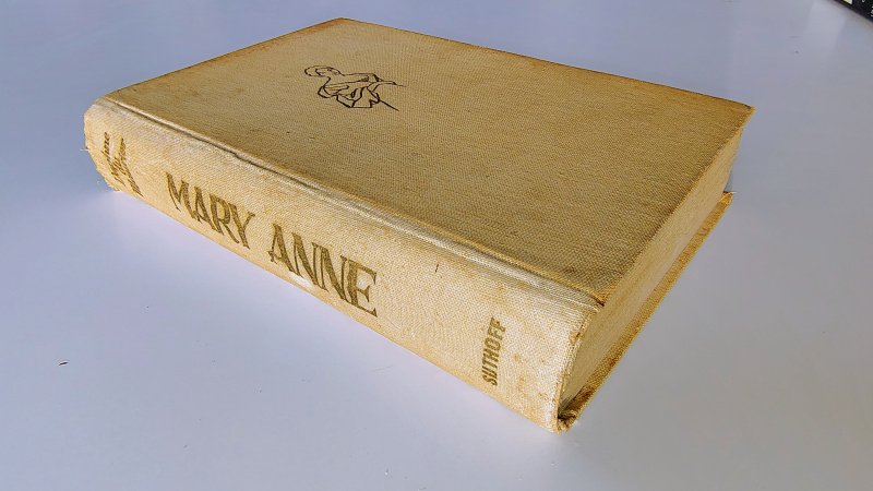 Tweedehands boek: Mary Anne van auteur Daphne du Maurier - In redelijke staat. Nederlandstalige linnen hardcover zonder stofomslag. Kaft verkleurd en met gebruikssporen, rug licht sleets. Pagina’s verkleurd, op schutblad geschreven, verder compleet en leesbaar.