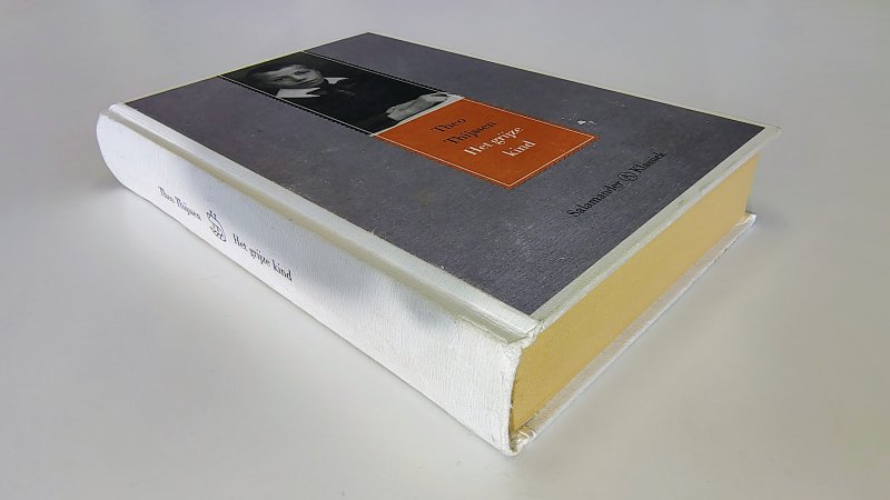 Tweedehands boek: Het grijze kind van auteur Theodorus Thijssen - Hardcover met lichte slijtage voorkant kaft, achterkant en rug wat grijze vegen en lichte slijtage. Binnenwerk netjes en onbeschreven