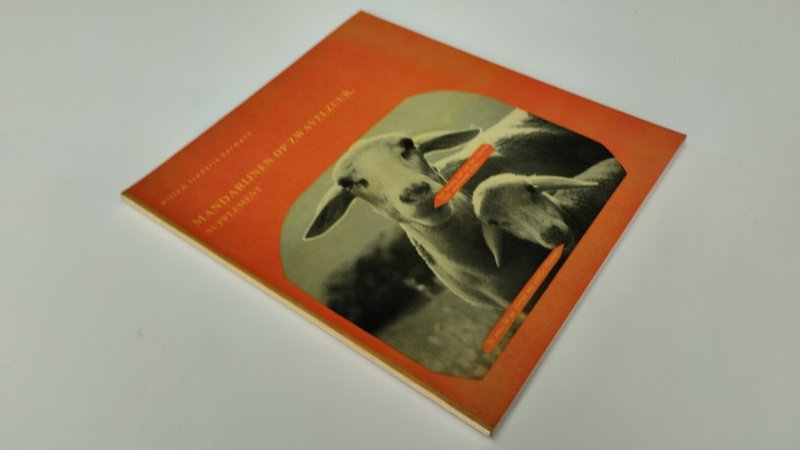 Tweedehands boek: De mandarijnen op zwavelzuur, supplement van auteur Willem Frederik Hermans - In redelijke staat. Nederlandstalige paperback. Kaft en pagina's verkleurd door ouderdom. Verder compleet en stevig exemplaar met normale gebruikssporen.
