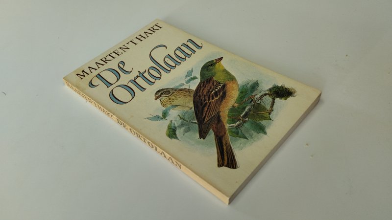 Tweedehands boek: De Ortolaan van auteur Maarten 't Hart - In goede staat. Nederlandstalige paperback. Kaft heeft lichte gebruikssporen en lichte verkleuring. Pagina’s verkleurd, maar verkeren in nette staat. Ex libris relief stempel vooring.