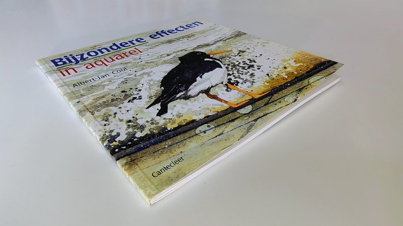 Tweedehands boek: Bijzondere effecten iin Aquarel van auteur Albert-Jan Cool - Paperback, oogt aan de buitenkant als nieuw. Typex voorin en lichte verkleuring witte bladzijdes, verder onbeschreven en netjes.