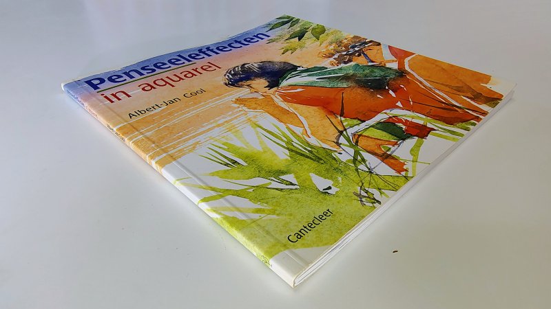 Tweedehands boek: Penseeleffecten in Aquarel van auteur Albert-Jan Cool - Paperback met lichte gebruikerssporen puntjes kaft. Typex voorin, witte bladzijdes licht verkleurd, verder onbeschreven en netjes.