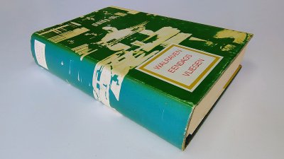 Boek met de titel: Eendagsvliegen