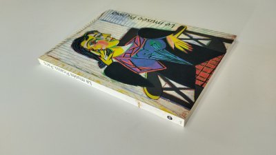 Boek met de titel: Le Musée Picasso, Paris