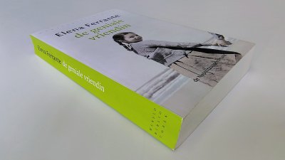 Boek met de titel: De geniale vriendin