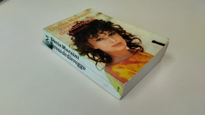 Boek met de titel: Teresa de dievegge