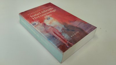 Boek met de titel: Het oneindige plan