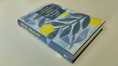 Boek met de titel: Vertel het niet aan je broer