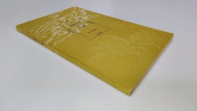 Boek met de titel: Schuim en as