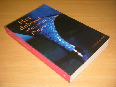 Boek met de titel: Het debuut