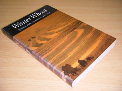 Tweedehands boek: Winter Wheat van auteur Mildred Walker - Paperback, in excellent condition.