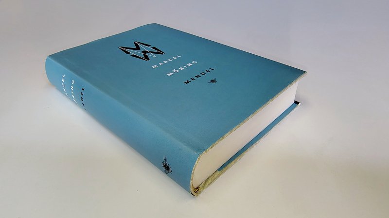 Tweedehands boek: Mendel van auteur Marcel Möring - Hardcover met stofomslag, oogt als nieuw. Met ex-libris reliëf stempeltje voorin.