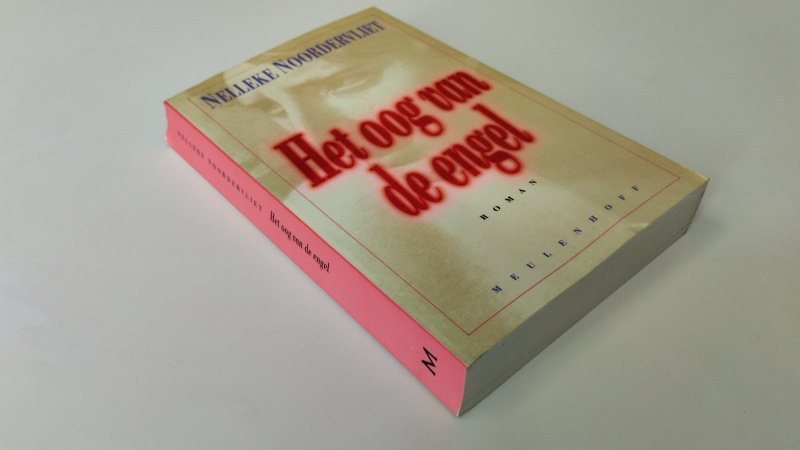 Tweedehands boek: Het oog van de engel van auteur Nelleke Noordervliet - In goede staat. Nederlandstalige paperback. Scheef ruggetje. Pagina's netjes en onbeschreven.