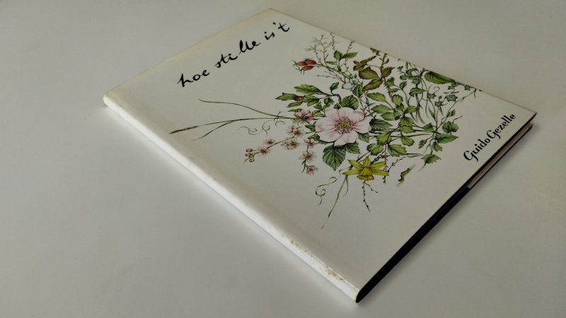 Tweedehands boek: Hoe stille is 't van auteur Guido Gezelle - In redelijke staat. Nederlandstalige hardcover met stofomslag. Zowel omslag als pagina's zijn gelig. Bovenkant snede is vlekkerig. Pagina's zijn onbeschreven en zitten goed in de binding