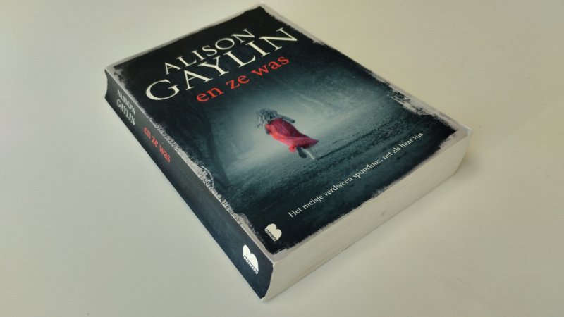 Tweedehands boek: En ze was van auteur Alison Gaylin - In redelijke staat. Nederlandstalige softcover, met scheve rug (gebruikerssporen dus) Pagina's onbeschreven en netjes