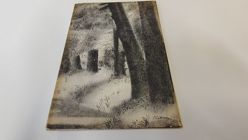Tweedehands boek: Ewout. Zes verzen bij een kind van auteur E. Brent Besemer - Paperback met omslag, compact formaat van 9,5 x 14,5 cm. Lichte verkleuring langs de randen kaft en rug. Binnenwerk onbeschreven en netjes. Beperkte opgave van 500, ongenummerd.