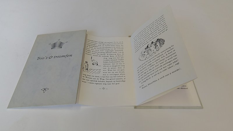 Tweedehands boek: Trio's & triomfen van auteur Wim van Broekhoven, illustraties en vormgeving Lidwien Dister en Ricardo Liong-A-Kong - Hardcover uitvouwboekje met minimale verkleuring kaft. Binnenwerk als nieuw!