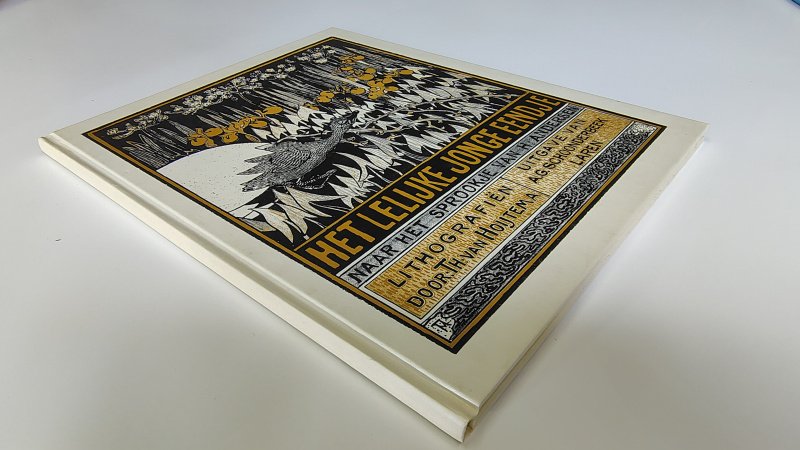 Tweedehands boek: Het lelijke jonge eendje van auteur Hans Christian Andersen, Theo van Hoytema - Hardcover, als nieuw. Prachtige kleuren illustraties