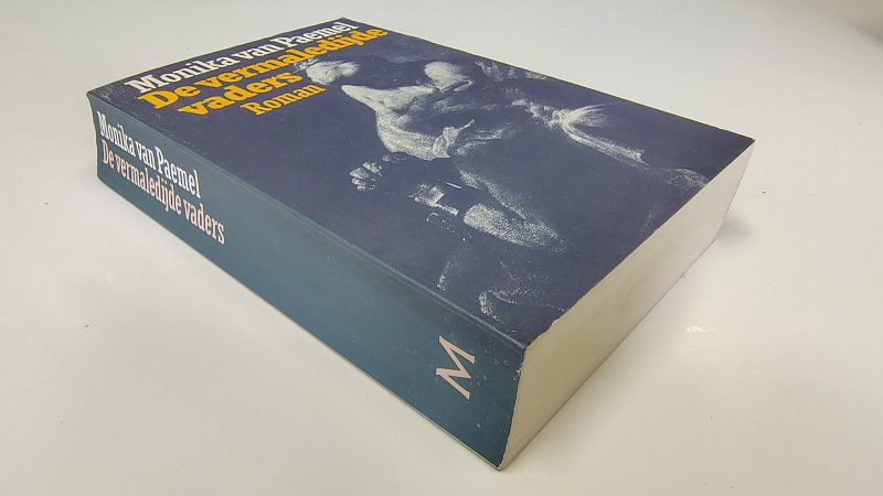 Tweedehands boek: De vermaledijde vaders van auteur Monika van Paemel - Paperback met licht scheefgelezen ruggetje en lichte leesvouwen. Minimale gebruikerssporen puntjes kaft. Binnenwerk onbeschreven en netjes.