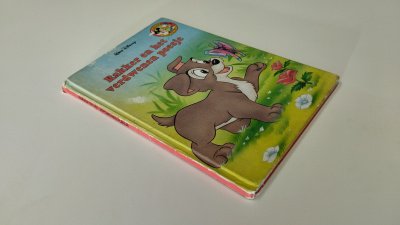 Boek met de titel: Rakker en het verdwenen poesje