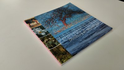 Boek met de titel: Zeeuws licht