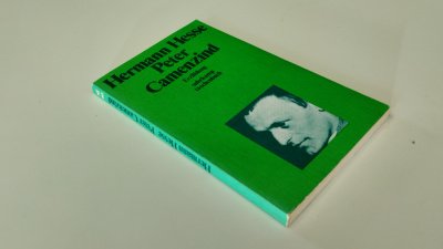 Boek met de titel: Peter Camenzind