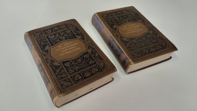 Boek met de titel: Nederlandsche Letterkunde, schrijvers en schrijsters der laatste eeuwen